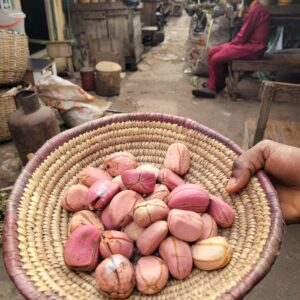 Obi Abata (kolanut)