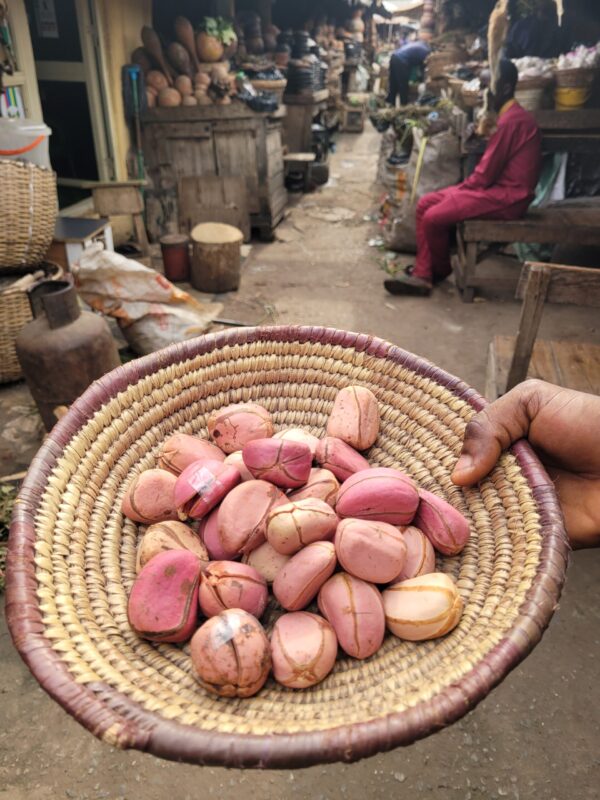 Obi Abata (kolanut)